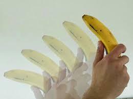 A9220BEC-AA37-46D9-A51A-623DD40A59F1.jpeg